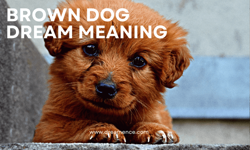 Brown Dog Dream Meaning