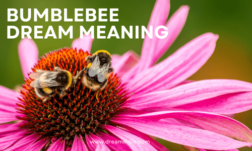 Bumblebee in Dream Meaning