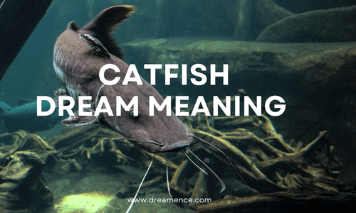 Catfish Dream Meaning