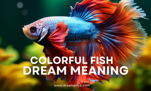Colorful Fish Dream meaning