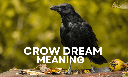Crow Dream Meaning