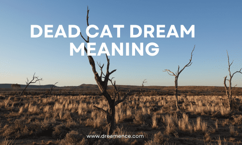 Dead Cat Dream Meaning