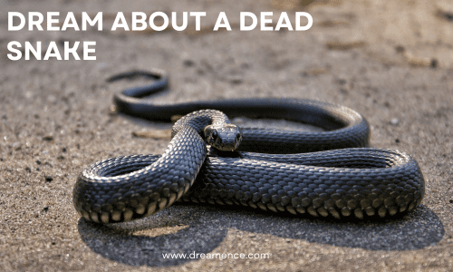 Dream About Dead Snake