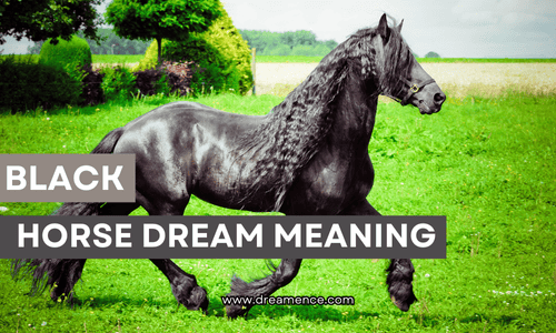 Black Horse Dream meaning