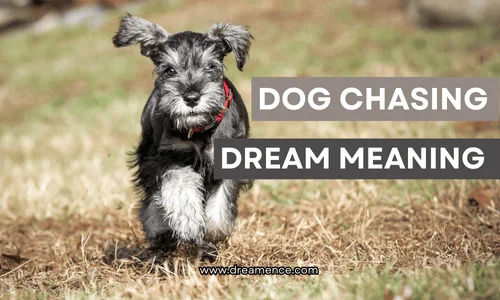 Dream About A Dog Chasing Me