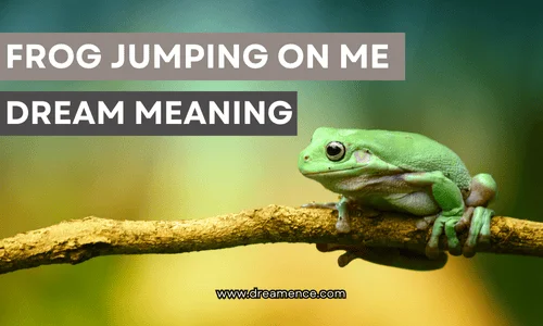 Dream About A Frog Jumping On You