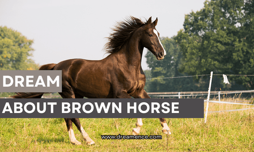 dream about brown horse