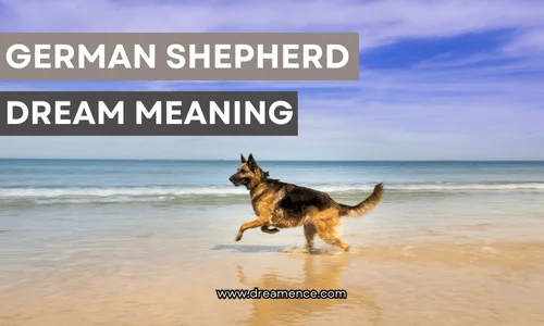 german shephered dream meaning