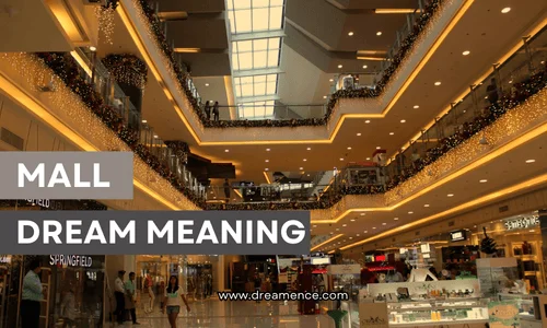 mall dream meaning