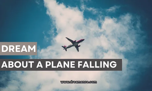 plane falling dream meaning
