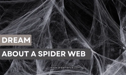 Dream About A Spider Web