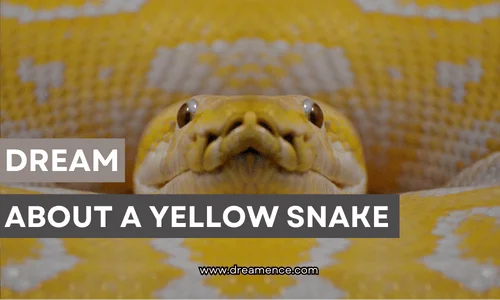 dream about a yellow snake