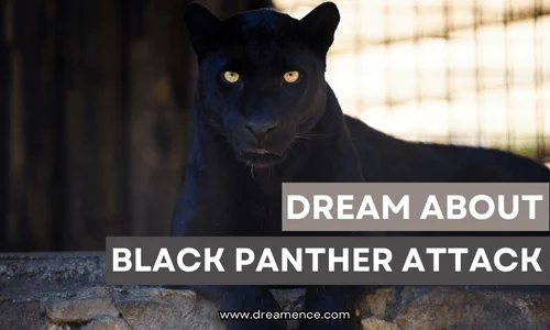 dream about black panther attack