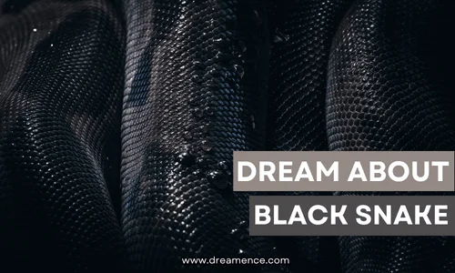 dream about black snake