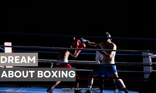 dream about boxing.