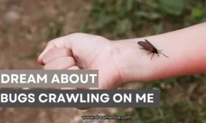 dream about bugs crawling on me.