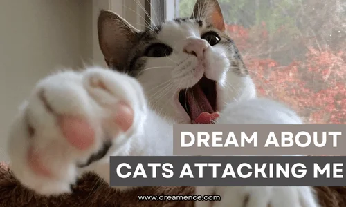 dream about cats attacking me