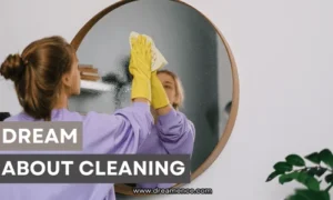 dream about cleaning