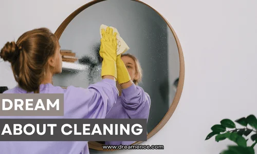 dream about cleaning