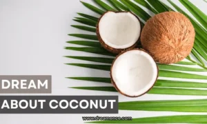 dream about coconut